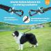 Shop Aystkniet Bungee Drag Line for Dogs | Shock-Absorbing Leash with Padded Handle | 3m to 30m Options | Ideal for Medium & Large Dogs | Reflective & Lockable | Army Green - Buy Online on SooperMarket.com