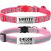 Tagme 2 Pack Katzenollsband with name and telephone number cat neck band with safety clasp and bell 15-20 cm for kittens pink kitten 15-20cm pink pink