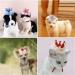 Dog Birthday Hat Pet Cat Birthday Hat Cute Lace Dog Crown Hat Headwear Caps Costumes for Small Medium Puppy Kitten Party Decorations (PINK) - Buy Online on SooperMarket.com