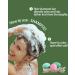 Egg Shampoo Bars & Conditioner Bar Gift Set | Travel Size Solid Shampoo & Conditioner | 4Pc Sampler Set | Sulfate Free & Plastic Free - Buy Online on SooperMarket.com