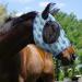 Harrison Howard Fly Mask for Horses - XL Extra-Full Comfortable & UV Protection Light Blue (Nature Aztec) - Best ECommerce Shipping Worldwide - Buy Online on SooperMarket.com