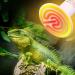Dernord 50W E27 Heating Lamp - Ceramic Heat Emitter for Reptiles Turtles & Chicks | Outdoor Heating Spotlight - Buy Online on SooperMarket.com