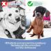 Pet Calming Cap - Fabric Anxiety Noise Cancelling for Dogs - Anti Car Sickness - Medium - Buy Online on SooperMarket.com