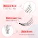 Glowing Win Individual False Eyelashes - Cluster Lashes 228 PCs DIY Extensions (0.07C 10D+20D Mix 8-14mm) | Premium Artificial Eyelash Extensions - Buy Online on SooperMarket.com