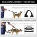 Pet Room Jogging Leash for Dogs - Elastic & Reflective Running Leash with Hip Belt for Large & Medium Dogs - Perfect for Running Jogging & Hiking - Buy Online on SooperMarket.com