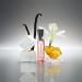 Lake & Skye 11 11 Vanilla Fragrance Oil Rollerball 0.33 fl oz (10ml) Unisex Perfume Vanilla Sheer Amber and Apple Notes Soft and Warm Scent Oil-Based Formula Long Lasting Fragrance - Buy Online on SooperMarket.com