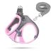 Dog harness Small dogs puppy tableware cat dishes Dogs dishes bright with a leash curli dog dog harness dishes dog puppies (pink s) s rosa