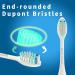 5 Pack Snow White Toothbrush Replacement Heads for Philips One Sonicare HY1100 and HY1200 - Buy Online on SooperMarket.com