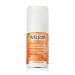 Weleda Sea Buckthorn 24H Roll-On Deodorant, 1.7 Fluid Ounce, For Women and Men, Plant Rich Odor Protection with Sea Buckthorn Oil, No Aluminum Salts Fresh 1.7 Fluid Ounce