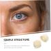 MUSISALY 4 Rolls Double Eyelid Stickers Sticky Double Female Double Eyelid Sticker Instant Eyelid Lift Invisible Tape Eye Sticker Mesh Eyelid Tape Double Tape Eyelid Sticker for Women Pvc - Buy Online on SooperMarket.com