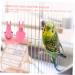 Angoily Parrot Flight Suit & Outfit - Nymphensittich Ara Vogel Pipi-Pad for Pets | Best Windel & Clothing Set for Parrots - Size S 4M - Buy Online on SooperMarket.com