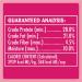 TEMPTATIONS Adult Cat Treats Hearty Beef Flavour 454g Tub Cat Treats Beef 454 g (Pack of 1) - Buy Online on SooperMarket.com