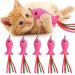 5Pcs Catnip Toy, Cat nip Pink Fish Interactive Cat Toy, Kitten Toys Catnip Filled Plush Toys, Feather Teaser Accessories for Cat Wand Toy, Kitten Teething Chew Toys for Cats