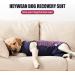 Heywean Dog Recovery Suit - Post-Op Wound Protection & Medical Shirt for Dogs | XXXL Marine Plaid - Buy Online on SooperMarket.com