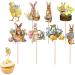 awakentti 8PCS Peter Rabbit Cupcake Decoration Room Ornaments Cake Picks with Clear Printing Easter Cupcake Toppers for Photo Wall Photo Booth Background Candy Box - Buy Online on SooperMarket.com