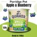 Quaker Oats Pick N Mix - Choose From 6 Flavours |Banana & Strawberry Apple & Blueberry Golden Syrup Original Porridge Oat Chocolate Orange Oat Caramel Fudge - Pack of 2 59.00 g (Pack of 2) - Buy Online on SooperMarket.com