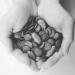 Cacao Buttons 100% Raw and Pure Cocoa Criollo Variety 250g Located in The Rainforest of Madagascar. - Buy Online on SooperMarket.com