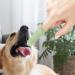 JISADER Pet Oral Care Finger Brush for Dogs and Cats - Gentle Tool Green - Buy Online on SooperMarket.com