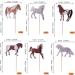 36-Piece Horse Cupcake Topper Set | Wild Animal Birthday Decorations | Muffin & Cake Decor for Baby Showers & Birthdays - Buy Online on SooperMarket.com