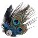 Peacock Hair Clip Natural Fascinator Barrette with Sparking Rhinestone  - Buy Online on SooperMarket.com