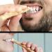 Hudhowks Mis-WAK Stick Traditional Natural Mis-WAK Toothbrush Ancient Cleaning Teeth Brushing Stick Breath Freshener Mis-WAK Stick from Middle East for Human Teeth Stain Removal & Fresher Breath - Buy Online on SooperMarket.com