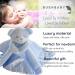 BUSHBABY 'A New Star is Born' Baby Comfort Blanket in Box | Blue Baby Gift Set for Boys | Plush Teddy Security Blanket for Newborns | Soft Toy for Babies - 10cm - Buy Online on SooperMarket.com