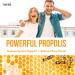 Herba Bee Propolis Liquid Drops 30ml - No Alcohol | Helps Relieve Sore Throats and Mouth Infections | Rich in Flavonoids | 100% Natural - Premium Grade | Made in Canada | Alcohol Free Liquid Drops - Buy Online on SooperMarket.com