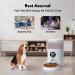 WOPET 4L Automatic Cat Feeder with Desiccant Bag - Programmable Pet Food Dispenser for Small/Medium Pets - White - Buy Online on SooperMarket.com