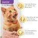 IAMS DELCHTS Kitten Wet Food - High-Quality Chicken in Sauce Multipack (24 x 85g) for Juniors 1-12 Months - International Shipping Available - Buy Online on SooperMarket.com