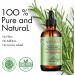 Rosemary Oil for Hair Growth Rosemary Oil for Skin Face 100% Pure Natural Improved Hair Growth Nourishes Scalp Rosemary Hair Oil For Men Women - Buy Online on SooperMarket.com