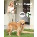 Blanlody Roller Leash for Large Dogs (Up to 80kg) - 3m Leash with Rubberized Handle Water Bowl & Decorative Bags (Green) | Shop Now!  - Buy Online on SooperMarket.com