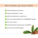 purSHEA - Organic Shea Butter - 100% Natural - Velvety Soft Consistency - Rich Skin Care in Organic Quality - Plastic-Free - 250 ml (Orange) - Buy Online on SooperMarket.com
