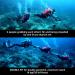 LEFEET S1 Pro Underwater Scooter - Modular Sea Scooter with Action Camera Mount | 40M Depth Rating for Diving, Snorkeling, Swimming - Buy Online on SooperMarket.com