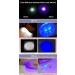 Darkbeam UV Flashlight 365/395nm - Portable Black Light Detector for Dog Urine Pet Spots & Banknote Identification - Mini Handheld LED Lamp - Buy Online on SooperMarket.com