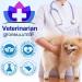 HXTMKT Dog Itch and Immune Chews Itch Relief Allergy Relief for Dogs Anti Itch for Dogs Skin Allergy Treatment for All Dog Breeds 30 Chews Duck Flavor Dog Skin& Coat Health Supplement - Buy Online on SooperMarket.com