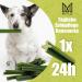 Mersjo Dog Dental Sticks | Healthy Grain-Free Treats for Medium Dogs (10-25kg) | 56 Pieces | Reduces Bad Breath & Supports Oral Hygiene - Buy Online on SooperMarket.com