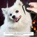 3-Piece Knitting Comb for Cats & Dogs | De-Knot Comb for Pet Grooming & Hair Removal - Black - Buy Online on SooperMarket.com