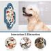 OHMO Licky Mats for Dogs and Cats 2 Pcs Cactus Silicone Lick Mats with Suction Cups for Pet Anxiety Relief Dog Slow Feeding(Dark Blue&Light Blue) M Dark Blue&Light Blue - Buy Online on SooperMarket.com