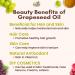 Tutto Bene Premium Grapeseed Oil - 1 Gallon (128oz) | 0 Trans Fat, Cholesterol-Free, High Antioxidants & Vitamin E - Ideal for Healthy Cooking - Buy Online on SooperMarket.com