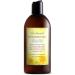 Indoor Tanning Lotion | Body Tanning Lotion | Natural Sun Tan Lotion | Moisturizer Tanning Lotion For Long-Lasting Tan | Just Nutritive | 8 Oz