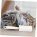 Ipetboom 3 Sets Roller Sticky Paper - Ultimate Lint Remover & Fur Roller for Clothes | Convenient Handheld Pet Hair Remover for Home - Buy Online on SooperMarket.com