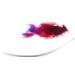 Red Cabbage Powder | Water Soluble Food Dye | Net weight: 1.76oz/50g - Amazing in the Kitchen or for Cocktails! Makes Colour-changing Beverages and Dishes in Red Or Magenta Pink Purple Blue - Buy Online on SooperMarket.com