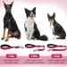 Vivaglory Short Dog Leash - Traffic Leash for Medium & Large Dogs 32cm Red Training Line - Buy Online on SooperMarket.com
