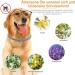 DEWEL 63.5cm Adjustable Waterproof Tick Collar for Dogs & Cats - Effective Anti-Flea Solution - Buy Online on SooperMarket.com