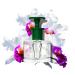 Caswell-Massey Orchid Perfume Discovery Classic Floral Scent Luxurious & Long-Lasting Fragrance for Women Travel Size Vial Perfume for Women 0.25 Fl Oz Orchid 0.25 Fl Oz (Pack of 1) - Buy Online on SooperMarket.com