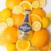 Orangina Citrus Sparkling Juice Beverage - Original French Recipe - 18 Bottles (8.5 oz) - No Artificial Ingredients - Buy Online on SooperMarket.com