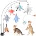 Hysagtek Cat Feather Toys 9Pcs Interactive Kitten Toys Kits Bird Feather Pet Teaser Wand for Indoor Cats 6 Feather Refills and 2 Retractable Cat Teaser Wand with 1 Super Suction Cup Single Base+9Pcs