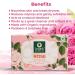 Organic Harvest Gentle Cleansing Rose Bathing Bar For Skin Moisturisation Ideal For All Skin Types 100% American Certified Organic Paraben & Sulphate Free 125gm - Buy Online on SooperMarket.com