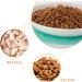 Ceramic Cat Food Plates and Wide Bowls for Stress-Relief Whisker Fatigue | Cat Feeding Dishes in White & Black - Buy Online on SooperMarket.com