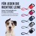 High-Quality 5m Cong Roll-Out Dog Leash for Large Dogs Up to 50kg | Comfortable Soft Handle & Reflective Belt | Durable Pink Roller Linen with Break & Lock System - Buy Online on SooperMarket.com